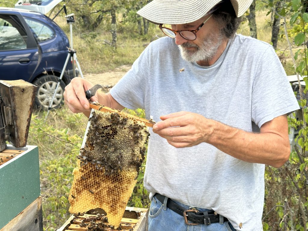 apiculteur avec cadre dans les main